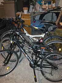 bianchi e bottecchia