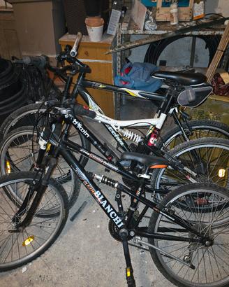 bianchi e bottecchia
