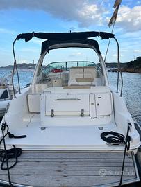 Sea Ray 335 natante