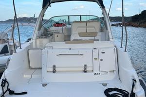 Sea Ray 335 natante
