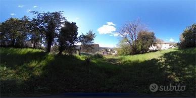 Capocavallo