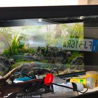 Acquario Ciano 60 LT 