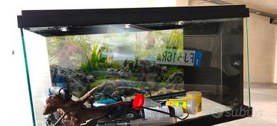 Acquario Ciano 60 LT 