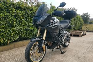 Triumph Tiger 1050 2010