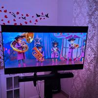 oled philips 55 pollici 