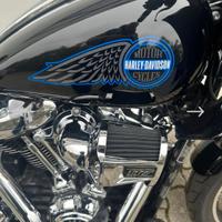 Harley -Davidson Low Rider St (2025/2026)