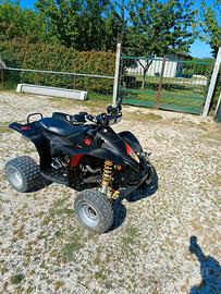 quad Polaris 