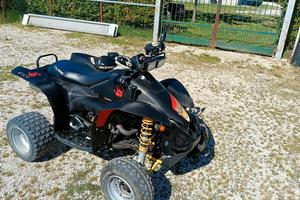quad Polaris 