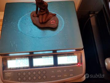 Bilancia elettronica commerciale doppio display
