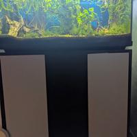 Acquario con mobile