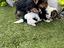 Immagine 6