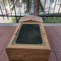 terrario per tartarughe