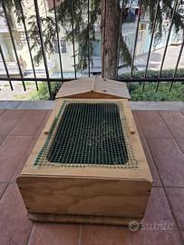 terrario per tartarughe