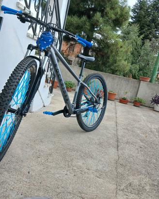 rokrider st 100 2026