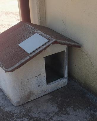 cuccia cane in cemento