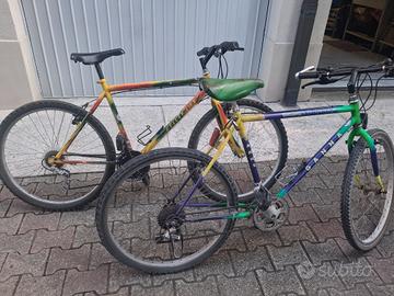 Biciclette da stazione 