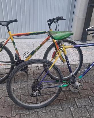 Biciclette da stazione 