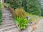 Immagine 30