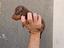 Immagine 6