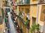 Immagine 22