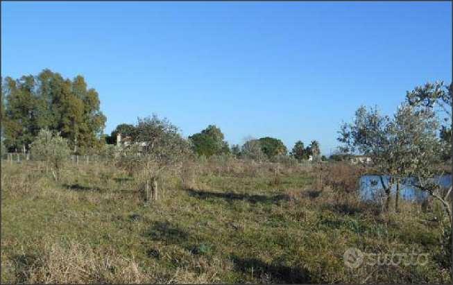 Terreno Agricolo a Latina - Vista 3