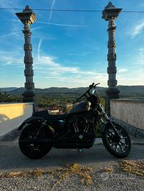 Halrey Davidson 883 Iron 208 Depo a Libretto A2