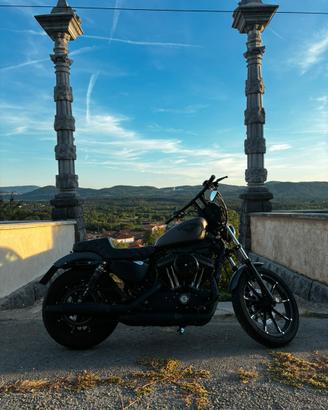 Halrey Davidson 883 Iron 208 Depo a Libretto A2