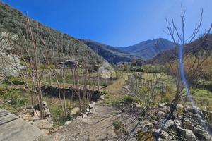 TER. RESIDENZIALE A BADALUCCO