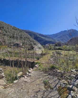 TER. RESIDENZIALE A BADALUCCO