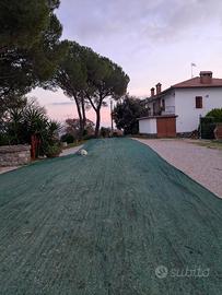 Telo raccolta olive