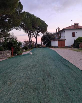 Telo raccolta olive
