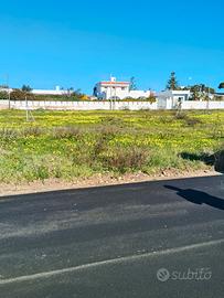 Vendita terreno edificabile Mq 0346