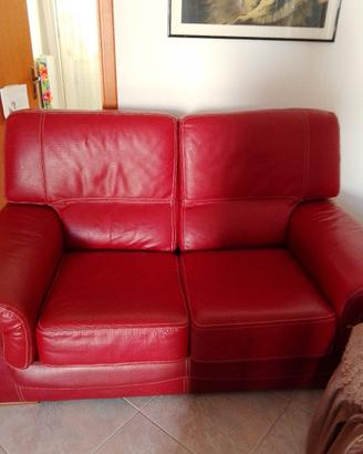 Divano in pelle 2 posti