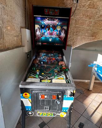 Flipper pool sharks