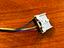 Immagine 6