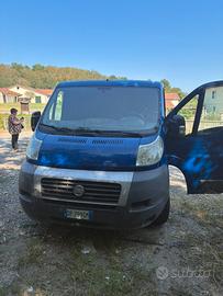 DUCATO