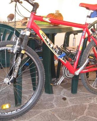 MTB Olympia cambio Shimano Acera