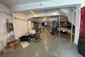 CAMPI BISENZIO Fondo commerciale