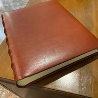 ALBUM A FOGLI avorio DA MATRIMONIO 