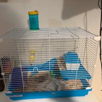 Criceto compresa gabbia