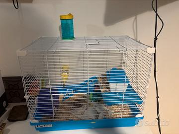 Criceto compresa gabbia