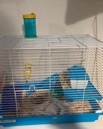 Criceto compresa gabbia