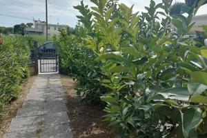 Estate davanti al mare con giardino privato