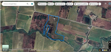 Terreno Agricolo con Vigneto e Uliveto - C