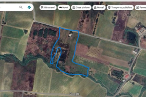 Terreno Agricolo con Vigneto e Uliveto - C