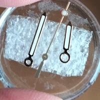 Lancette orologio Vostok Amphibia