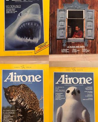 Airone