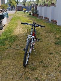 BICICLETTA MOUNTAIN BIKE OLMO