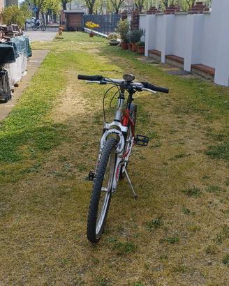 BICICLETTA MOUNTAIN BIKE OLMO