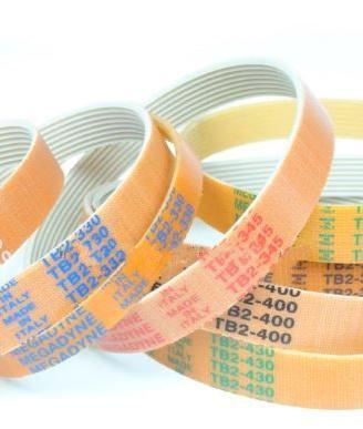 CINGHIE PER  AFFETTATRICE TB2 VARIE MISURE